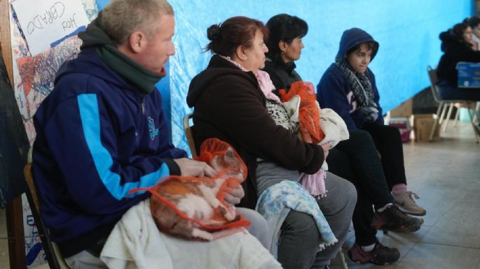 Realizaron 76 castraciones gratuitas en barrio Las Acacias