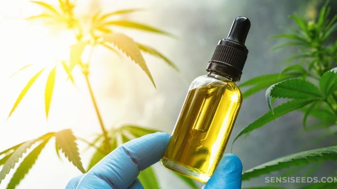 CBD y sueño: ¿puede el cannabidiol mejorar tu calidad de descanso?