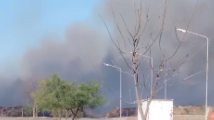 Incendio de gran magnitud en cercanías a la Cava del Botta