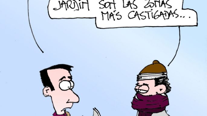 Humor 24/08/2024