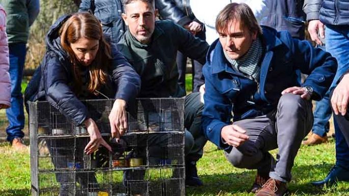 La Reserva Tau celebró sus 82 años con forestación y suelta de aves