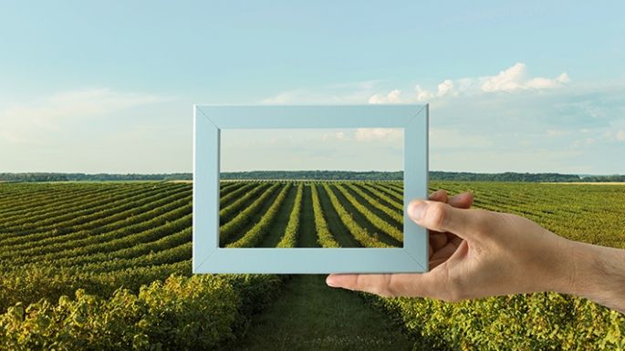 Agricultura digital