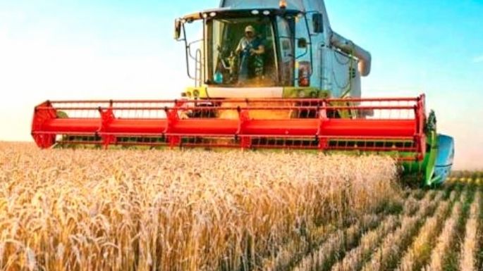Piden modificar alícuotas al campo