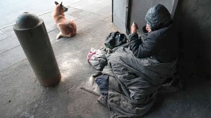 El 54,9% de la población es pobre