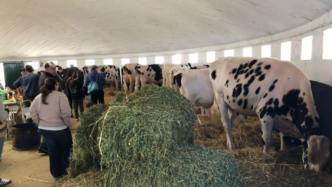 Familias disfrutan de la última jornada en la Expo Feria Rural