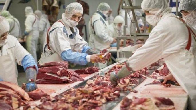 En Argentina, un país con múltiples recursos, se reconocen cinco regiones industriales