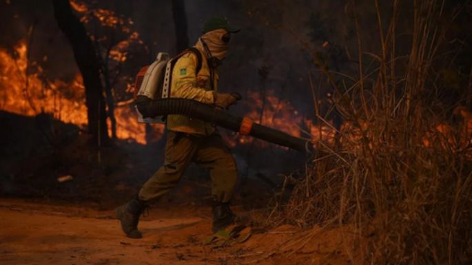 Incendios forestales castigan a cuatro países de América Latina