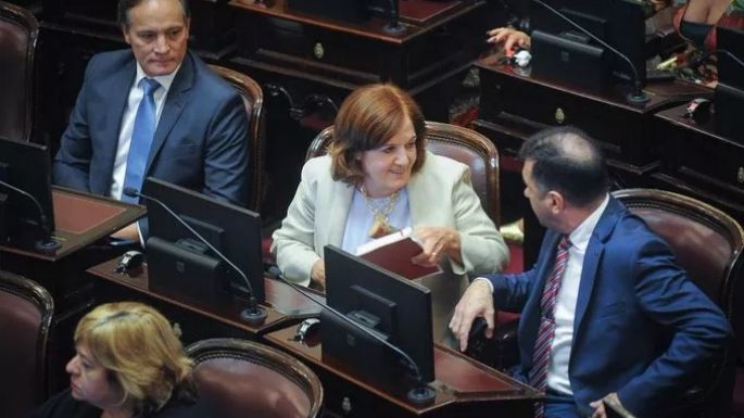 Alejandra Vigo y otros cinco senadores conformaron un nuevo interbloque