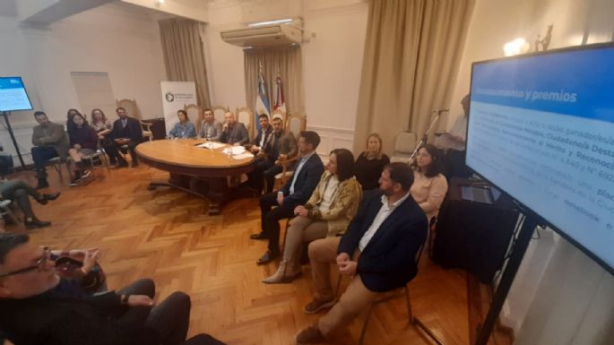 Presentaron el concurso para diseñar la bandera de Villa María