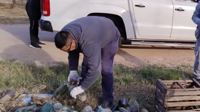 Descacharreo y vacunación