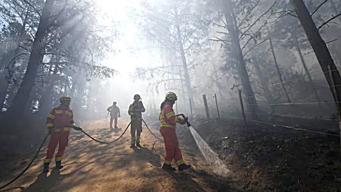 El fuego devoró unas 12.300 hectáreas y hay un detenido
