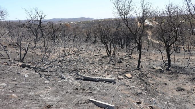 Declararon el desastre agropecuario por incendios