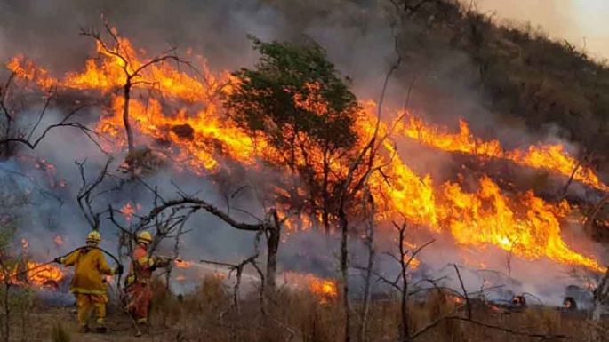 El Gobierno provincial declaró la emergencia agropecuaria