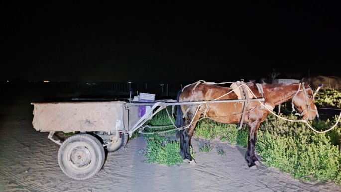 Hallaron elementos para faenamiento en un carro abandonado