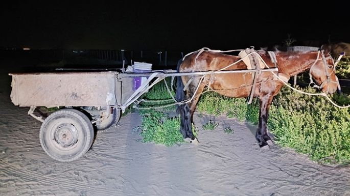 Encontraron objetos para faenamiento en un carro abandonado