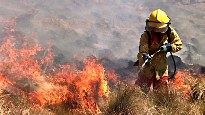Se oficializó la emergencia ambiental por los incendios