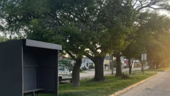 Una mujer sufrió el arrebato de su cartera con celular, medicamentos y certificado de discapacidad