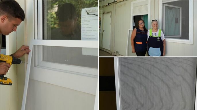 Mosquiteros para prevenir el dengue