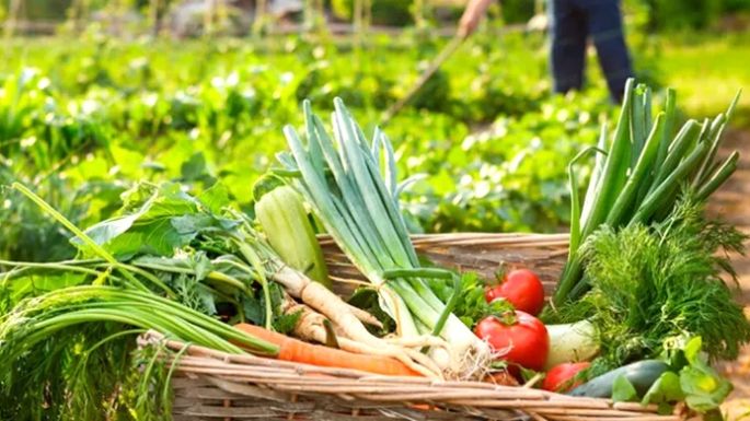 Se multiplicó por casi cuatro el precio de los agroalimentos
