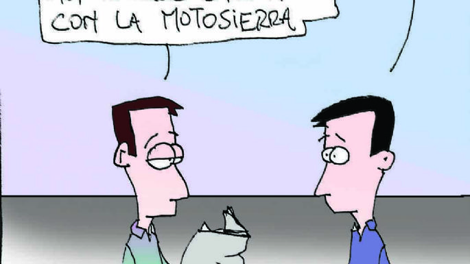 Humor 17/01/2025