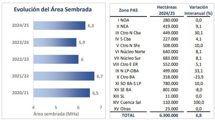 Buenas noticias trae el trigo