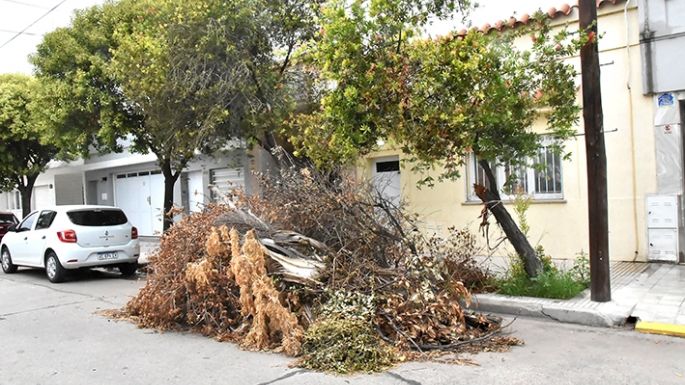 Basura “del año pasado”
