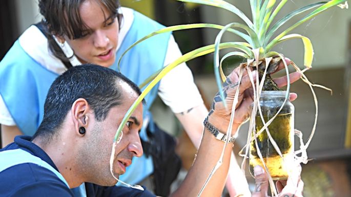 “Alto riesgo” de transmisión  por el mosquito del dengue
