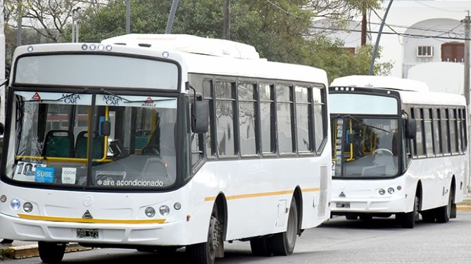 Colectivos, con horario normal