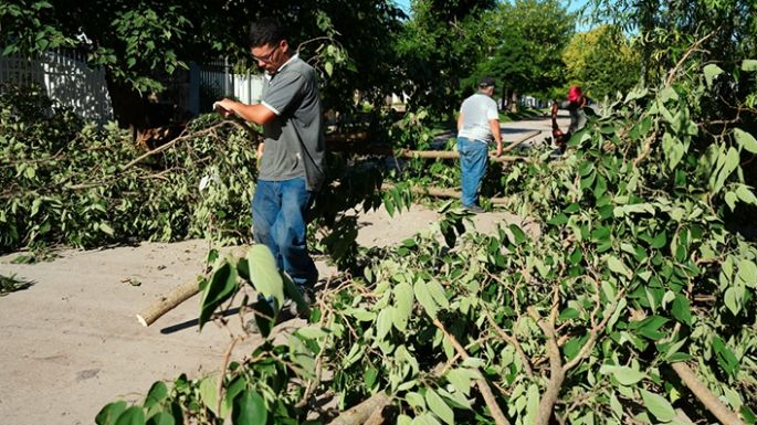 Tras el vendaval, avanzan con  las tareas “barrio por barrio”