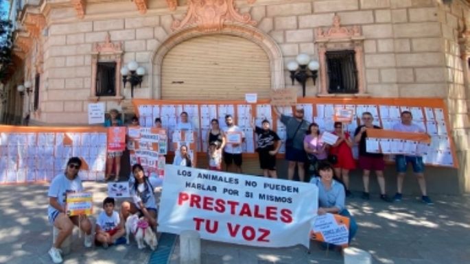 Un pedido para 2025 sobre la problemática animal en las Villas