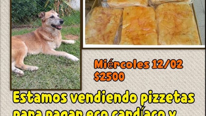 Por una viejita rescatada