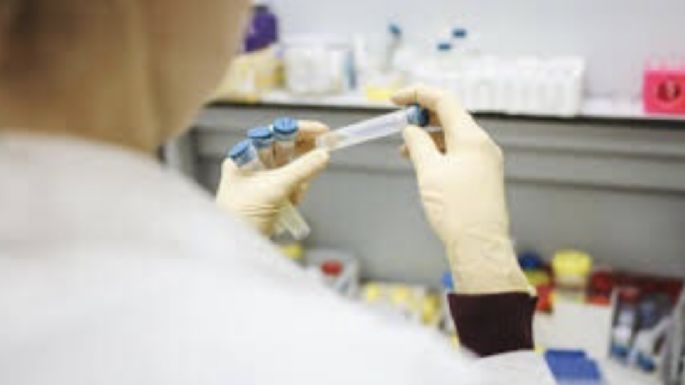 ¿Qué es el metapneumovirus?