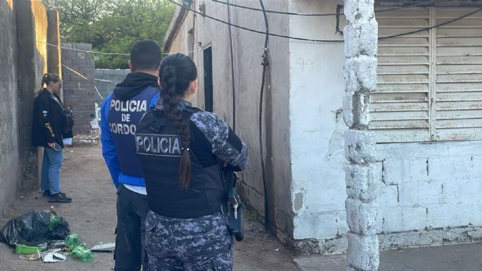 Nueve detenidos y secuestros en quince allanamientos