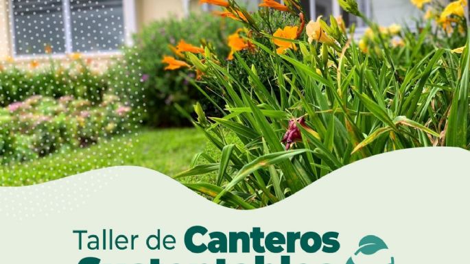 Nuevo taller: enseñarán a diseñar canteros sustentables