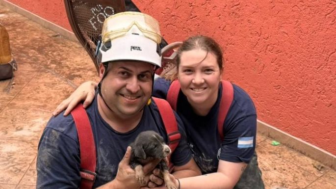 Bomberos rescataron a un cachorro que cayó a un desagüe
