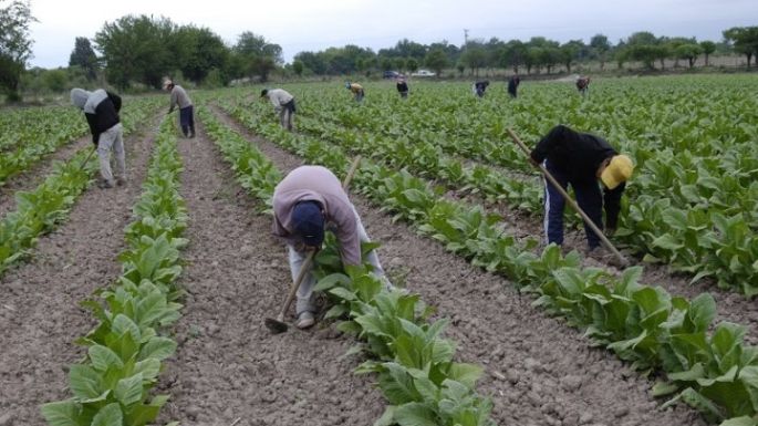 Los peones con planes sociales, a la informalidad