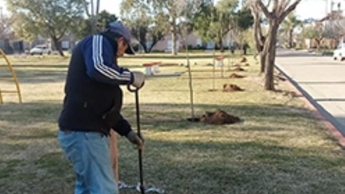 Se plantaron 270 árboles en la semana