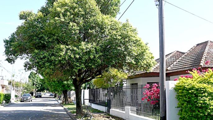 Presentan sistema de alarmas