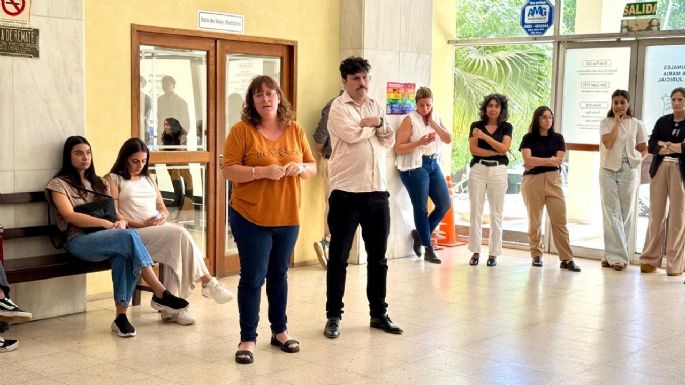 Ratas en Tribunales: están por todos lados y los trabajadores advierten