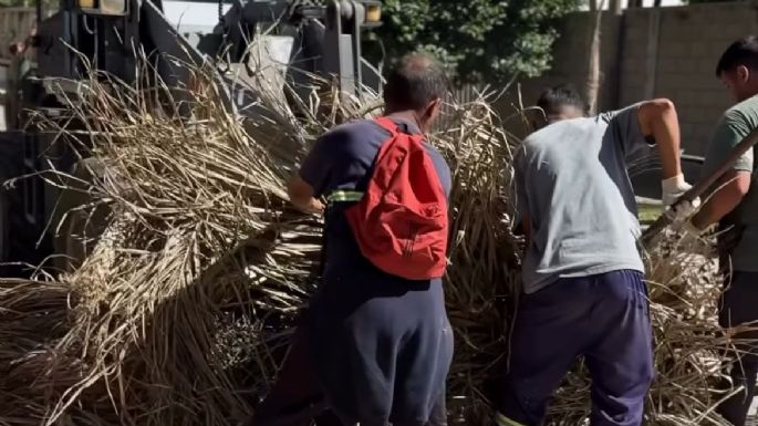Comenzaron las tareas de pavimentación de la calle Punta Mogotes