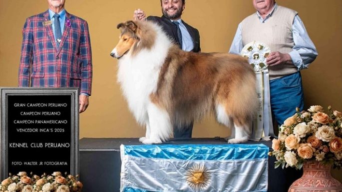 Un perro de esta ciudad se consagró campeón en competencia internacional