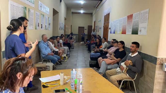 Más de 80 mascotas castradas en la primera semana del operativo descentralizado
