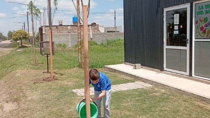 Plantaron 65 árboles en Campos del Este