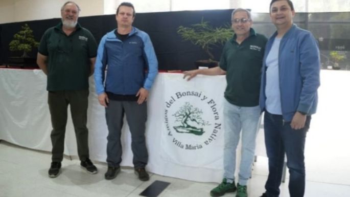 Más de 90 bonsáis en la expo