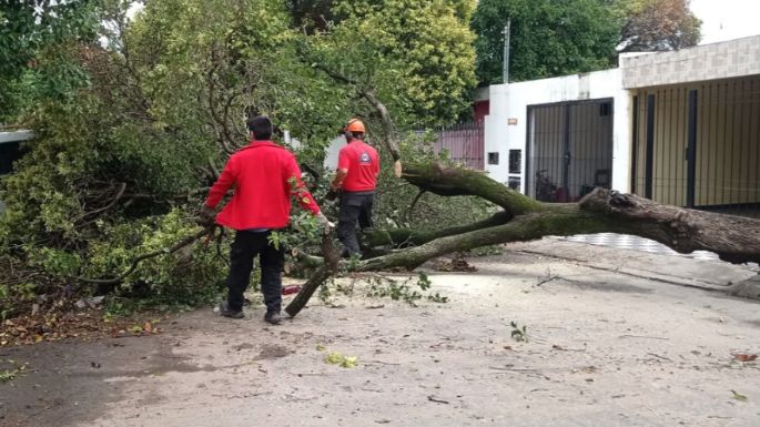 Tormentas: con daños y crecida de los ríos