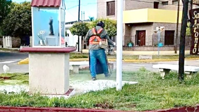 Tareas de mantenimiento en espacios verdes