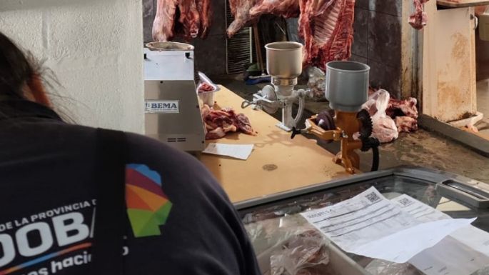 Faena clandestina: decomisaron 700 kg de carne porcina