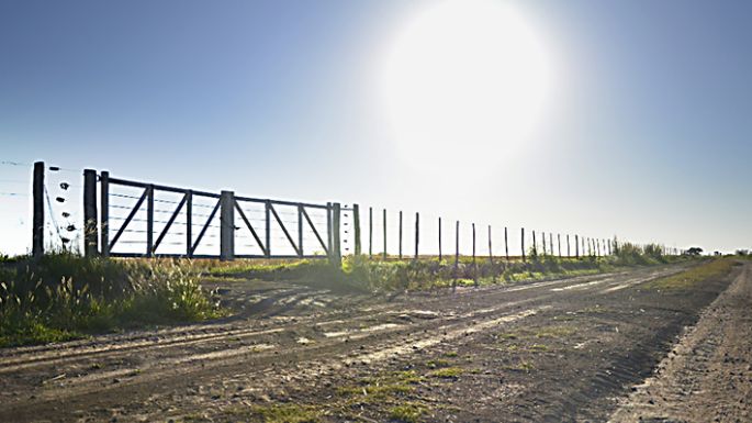 Inscriben a propietarios productores