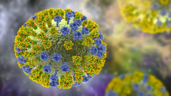 Detectaron en el país un nuevo caso subclado de influenza A (H3N2)
