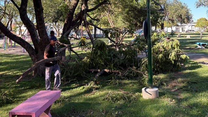 El municipio trabaja en limpiar los daños causados por la tormenta y gestiona ayuda